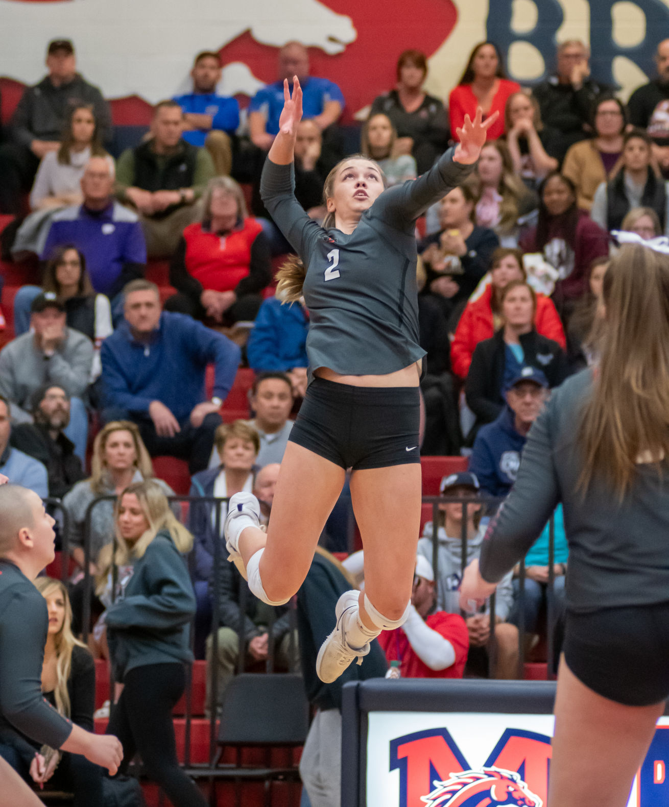 Liberty senior outside hitter Jenna Wenaas